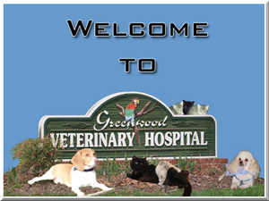 GVH Banner